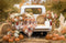 Kate Automne Camion Foins Citrouilles Toile de fond en Polar conçue par Emetselch - Kate Backdrop FR