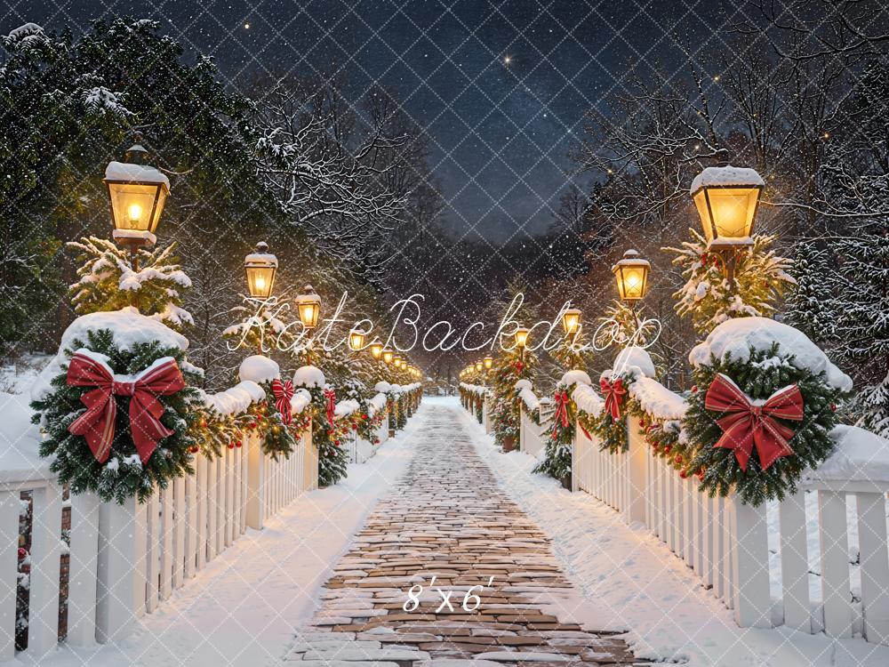 Kate Noël Hiver Chemin Lampadaire Neige Toile de fond conçue par Emetselch - Kate Backdrop FR