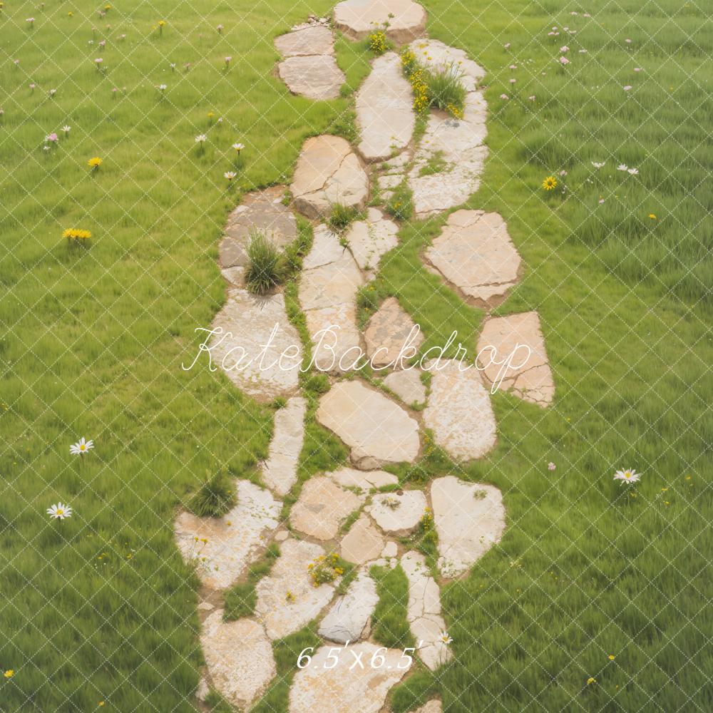 Kate Chemin Pierre Prairie Verte Sol Toile de fond conçue par Emetselch