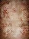 Kate Fleurs Roses Vintage Beige Toile de fond en Laine conçue par Emetselch - Kate Backdrop FR