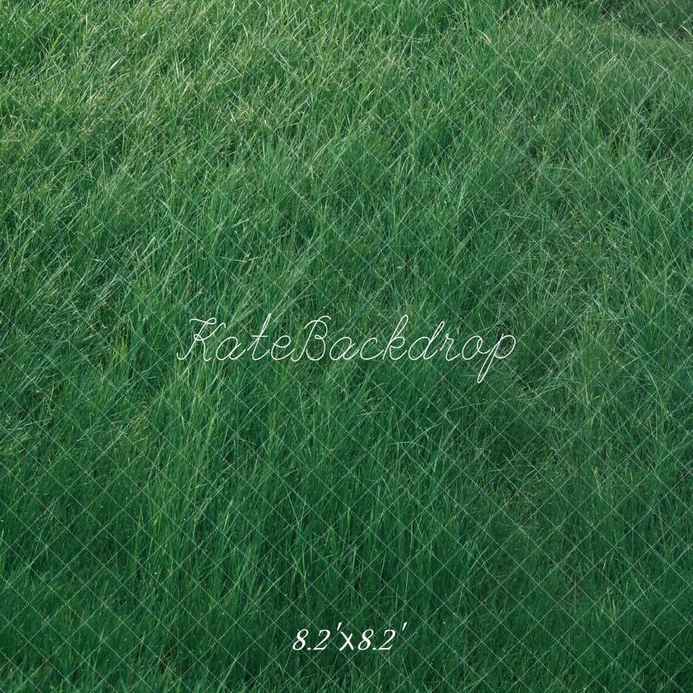 Kate Herbe Prairie Vert Sol Toile de fond conçue par Kate Image - Kate Backdrop FR