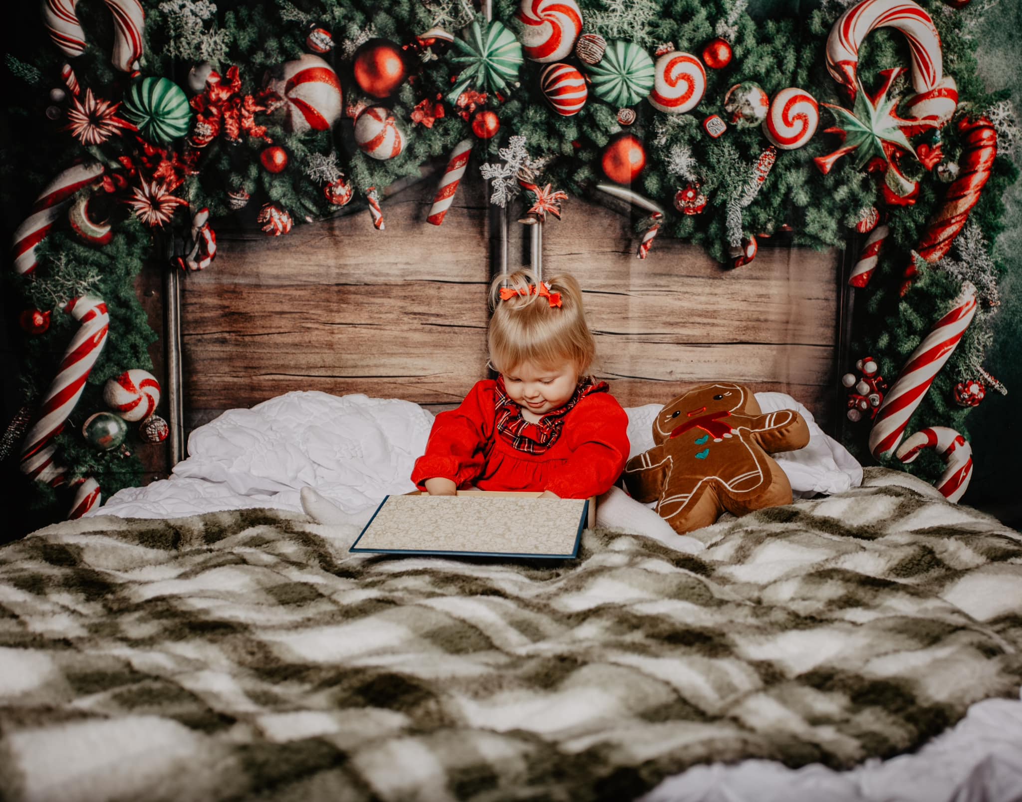 Kate Noël Bonbons Tête de lit Toile de fond en Laine conçue par Mandy Ringe - Kate Backdrop FR
