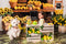 Kate Été Citron Tournesol Marché Toile de fond conçue par Emetselch - Kate Backdrop FR