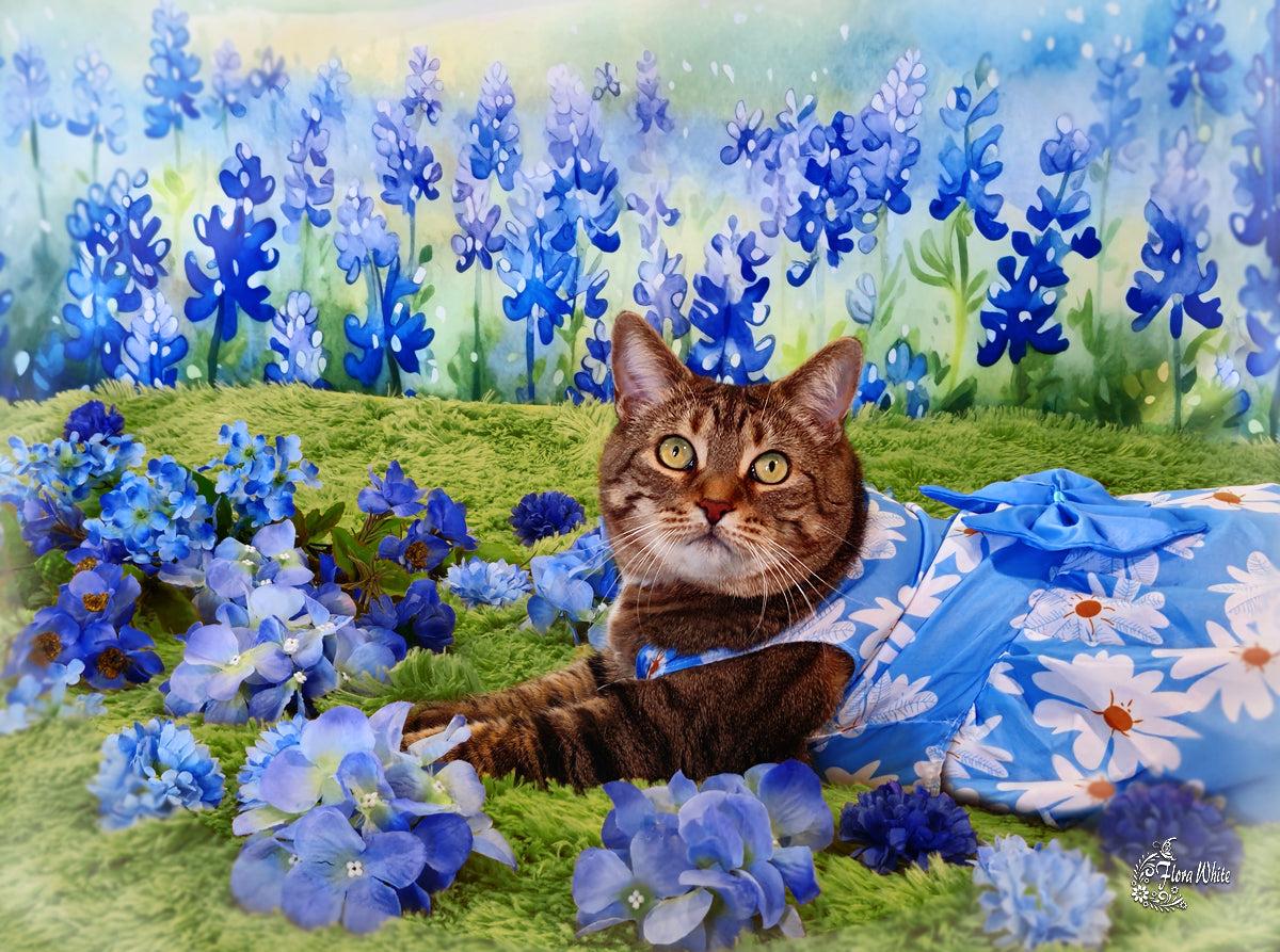 Kate Bleuet Fleurs épanouies Champ Toile de fond Conçu par Patty Roberts - Kate Backdrop FR