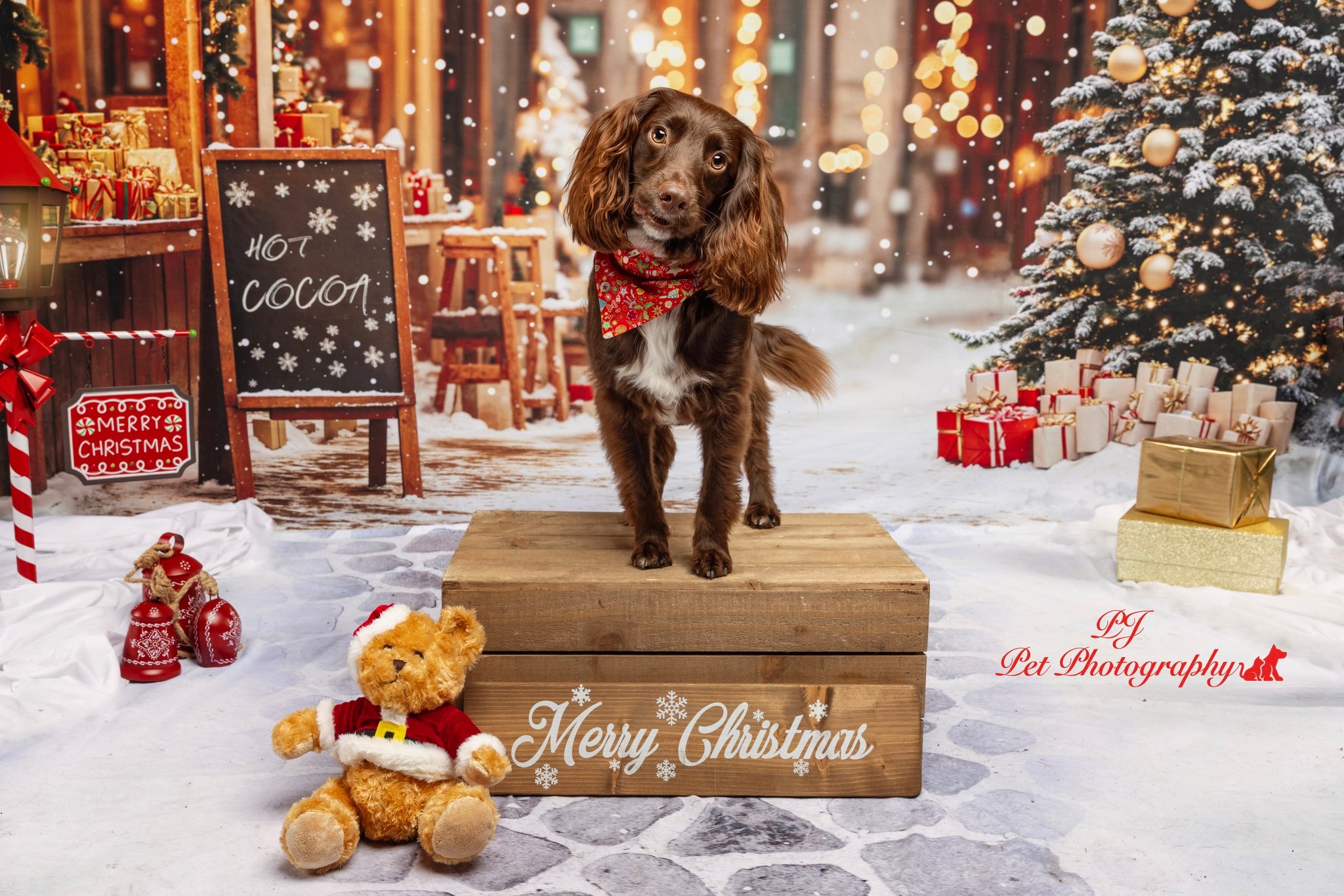 Kate Sapin de Noël Rue Chocolat chaud Boutique Toile de fond conçue par Emetselch - Kate Backdrop FR