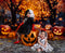 Kate Halloween Citrouille Lumières Chemin Toile de fond conçue par Mini MakeBelieve - Kate Backdrop FR