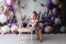 Kate Printemps Fleur Ballons Papillon Cake Smash Toile de fond conçue par Emetselch - Kate Backdrop FR