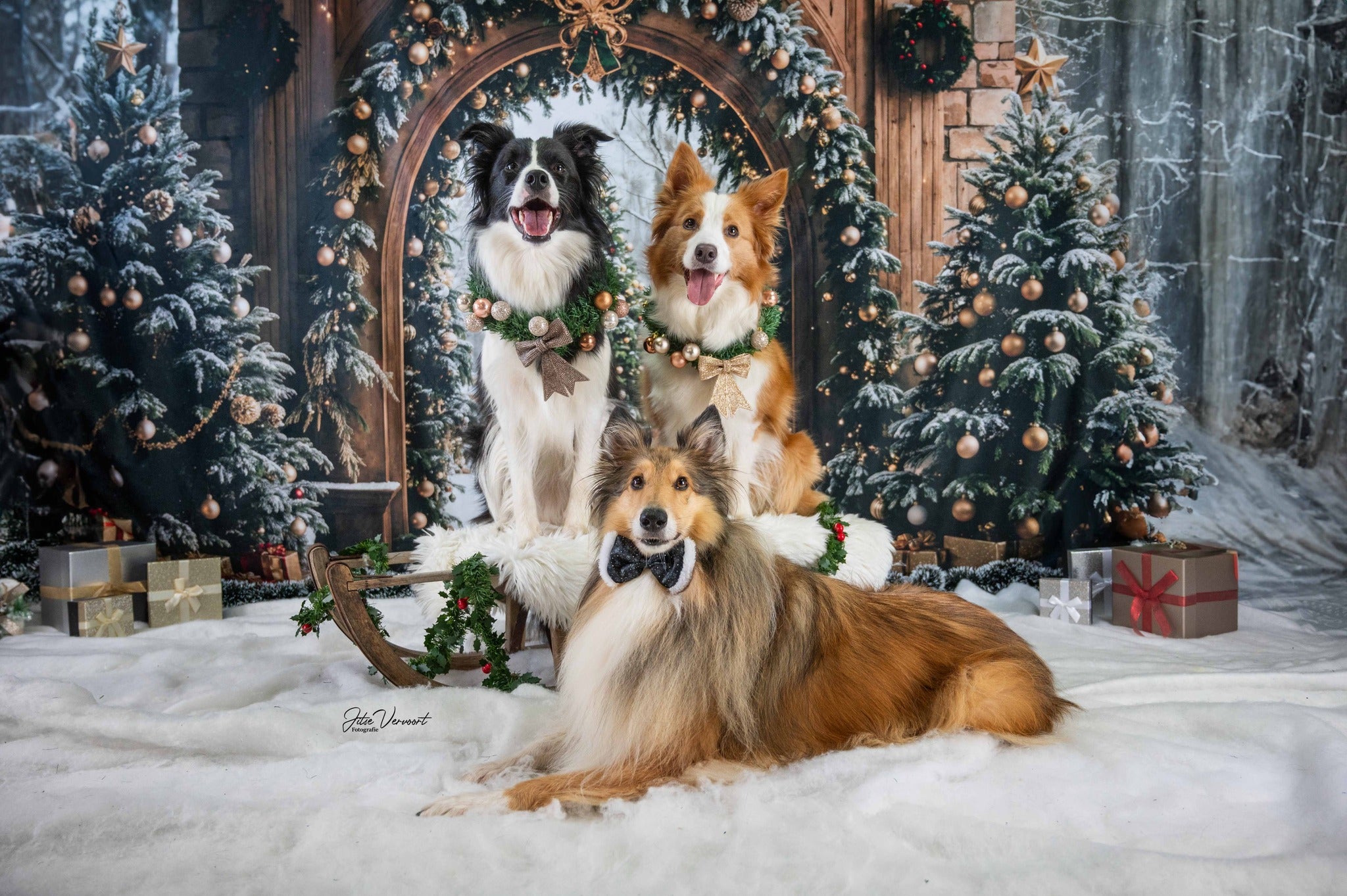 Kate Sapin de Noël Rétro Arche Neige Cadeaux Toile de fond conçue par Emetselch - Kate Backdrop FR