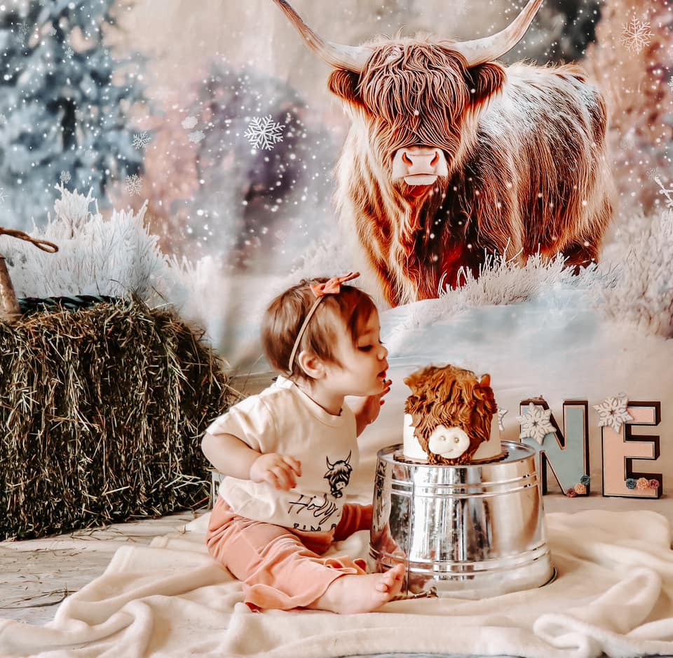 Kate Hiver Bovins Highland Neige Toile de fond conçue par Patty Roberts - Kate Backdrop FR