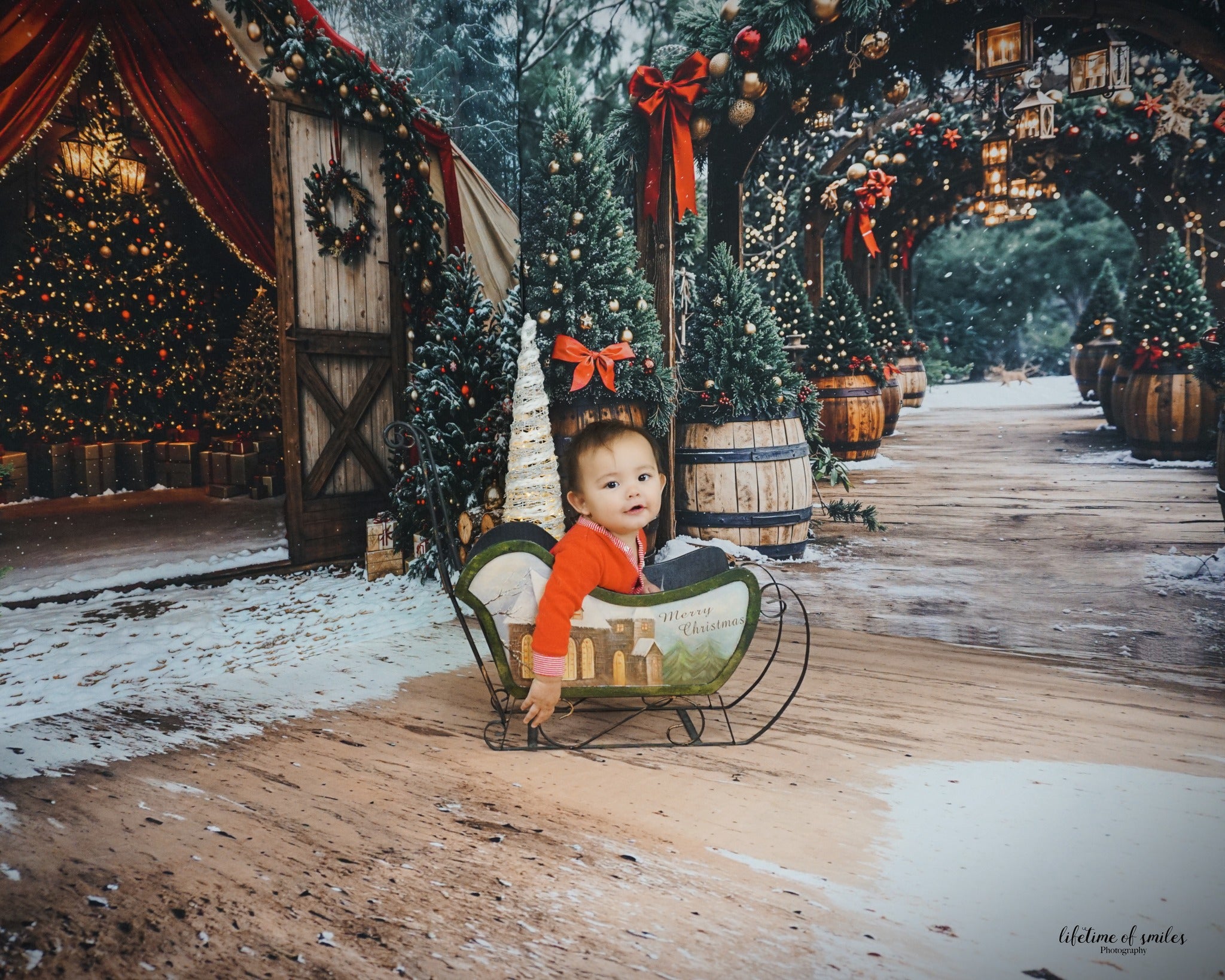 Kate Noël Arche Sapins Neige Ornements Ensemble de chambre - Kate Backdrop FR