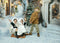 Kate Hiver Porte Blanc Noël Couloir en arc Ensemble de chambre - Kate Backdrop FR