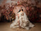 Kate Ensoleillé Beige Mur Arc de fleurs Toile de fond conçue par Emetselch - Kate Backdrop FR