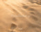 Kate Beige Sable Texture Sol Toile de fond en Laine conçue par Kate Image