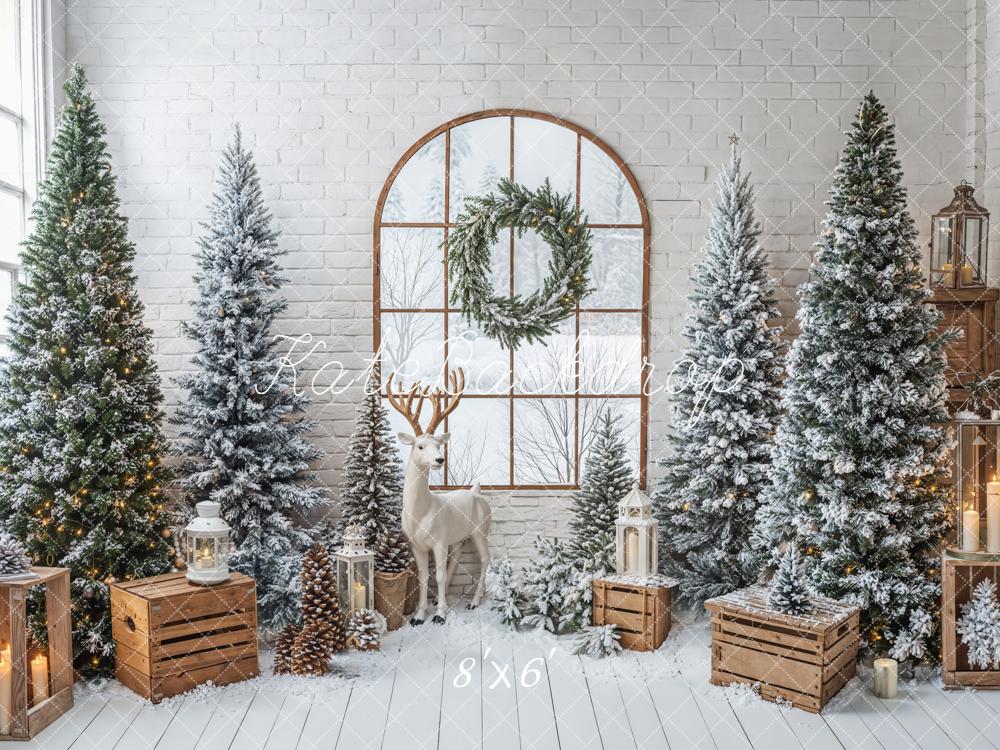 Kate Noël Sapins Fenêtre Lanternes Toile de fond conçue par Emetselch