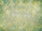 Kate Floral Vert Pastel Abstrait Sol Toile de fond en Laine conçue par Kate Image