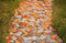 Kate Automne Chemin Feuilles Toile de fond en Laine conçue par Emetselch
