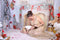 Kate Noël Chandelier Fenêtre Cheminée Toile de fond pour la photographie - Kate Backdrop FR