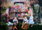 Kate Camion Rose Oeuf de Pâques Coloré Toile de fond conçue par Emetselch - Kate Backdrop FR