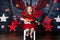 Kate Musique Rock Mur de briques Toile de fond conçue par Megan Leigh - Kate Backdrop FR