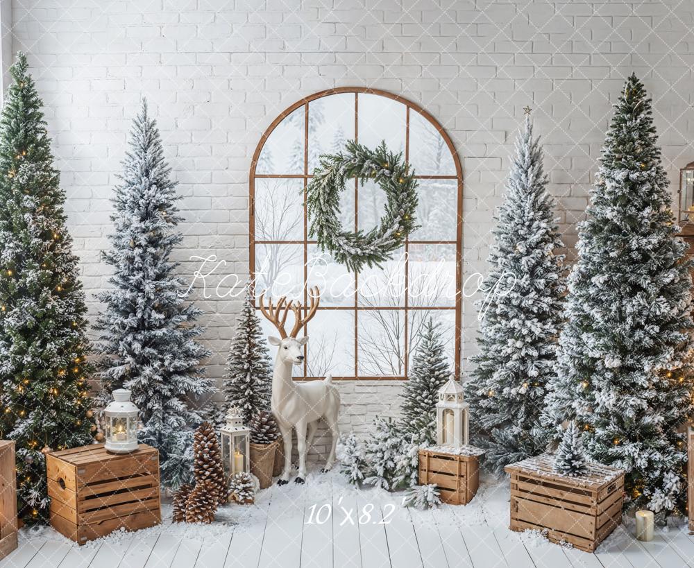 Kate Noël Sapins Fenêtre Lanternes Toile de fond conçue par Emetselch