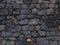 Kate Pierre Feuilles Sombre Sol Toile de fond en Laine conçue par Emetselch - Kate Backdrop FR