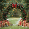 Kate Noël Arche Sapins Cadeaux Toile de fond conçue par Emetselch - Kate Backdrop FR