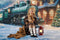 Kate Sweep Mur-à-Sol Train Polaire Noël Neige Toile de fond conçue par Chain Photographie - Kate Backdrop FR