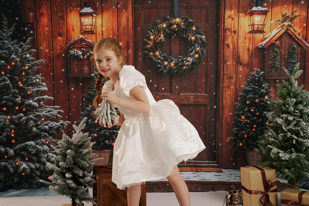 Kate Sapin de Noël Maison Neige Lumière Toile de fond conçue par Emetselch