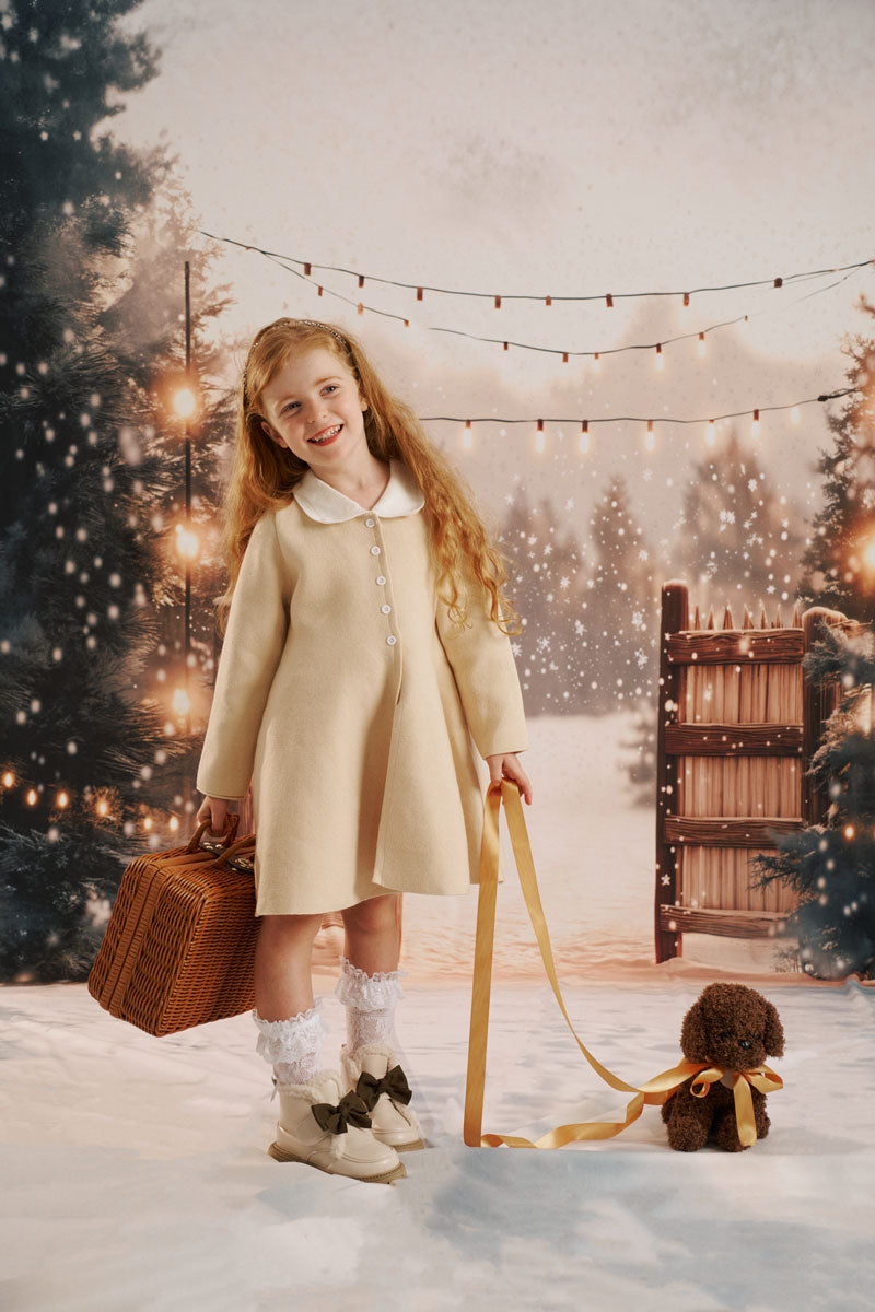 Kate Hiver Neige Portail Noël Lumière Toile de fond conçue par Emetselch - Kate Backdrop FR