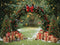 Kate Noël Arche Sapins Cadeaux Toile de fond conçue par Emetselch - Kate Backdrop FR