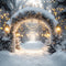 Kate Hiver Arche Neige Lumières Toile de fond conçue par Emetselch - Kate Backdrop FR