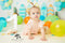 Kate Anniversaire Été Planche de surf Ballon Toile de fond conçue par Patty Roberts - Kate Backdrop FR