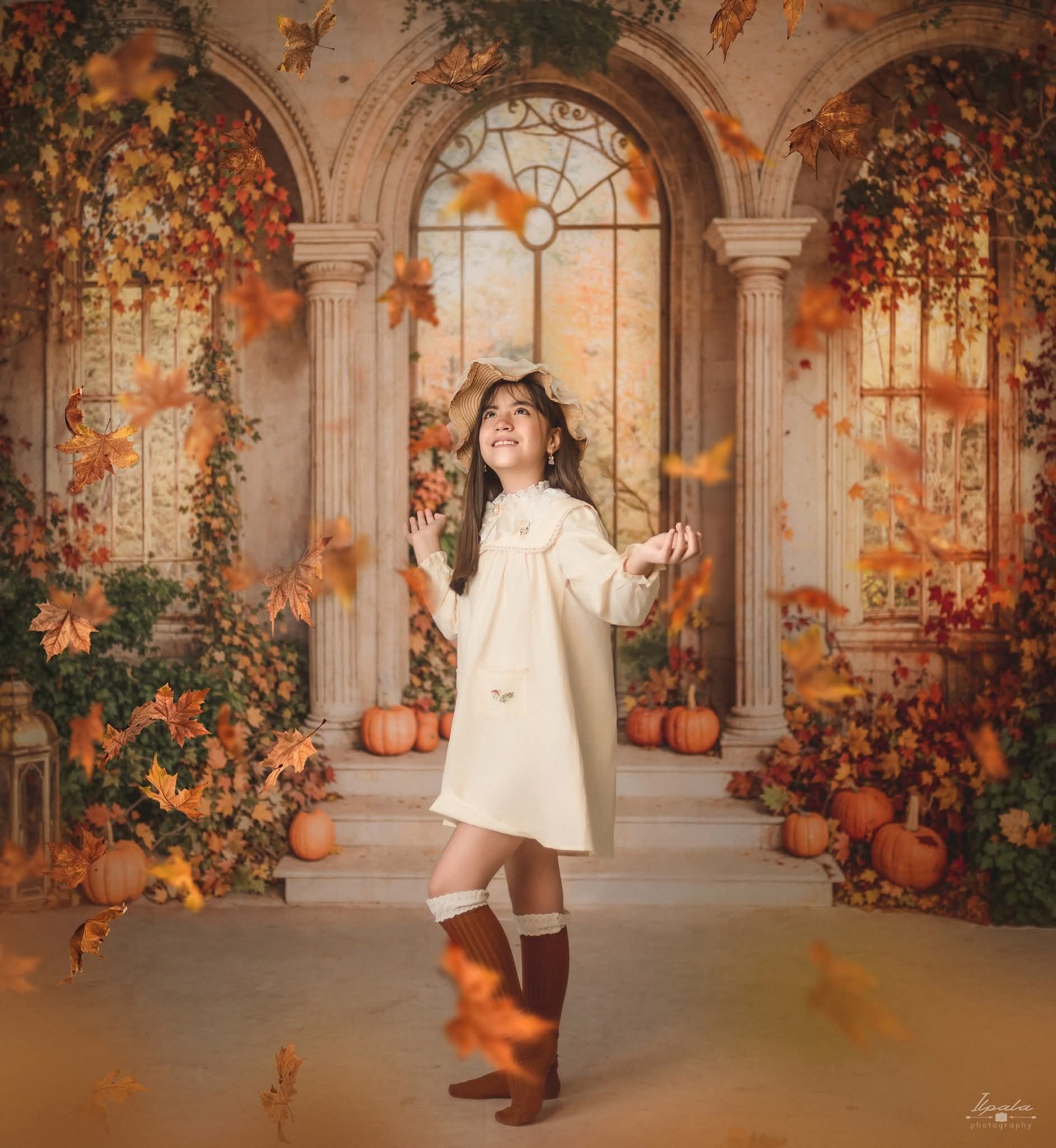 Kate Automne Arche Rétro Citrouilles Feuillage Toile de fond conçue par Emetselch