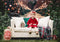 Kate Arbres de Noël Route Décorations Toile de fond conçue par Emetselch - Kate Backdrop FR