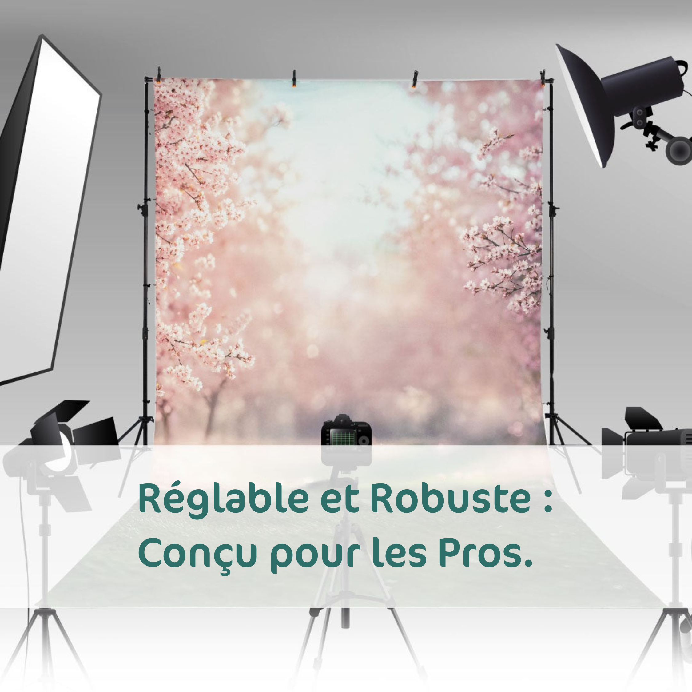 Kate 300x260mm(LxH) Kit de Support de Fond Robuste Réglable Photographie avec 8 Pinces & 2 Sacs de Sable