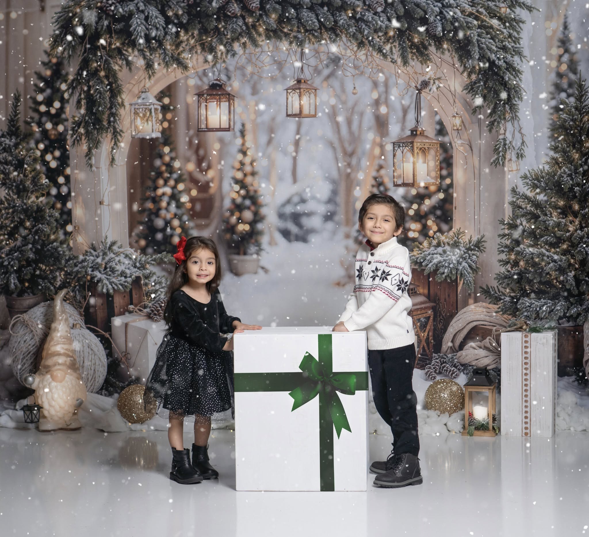 Kate Noël Arche Neige Arbres Lumière Toile de fond conçue par Emetselch - Kate Backdrop FR