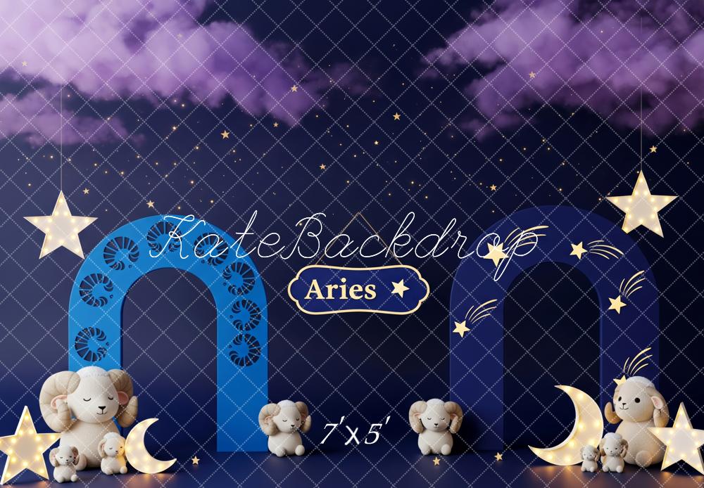 Kate Nuit Ciel Étoiles Lune Peluches Toile de fond conçue par Patty Roberts