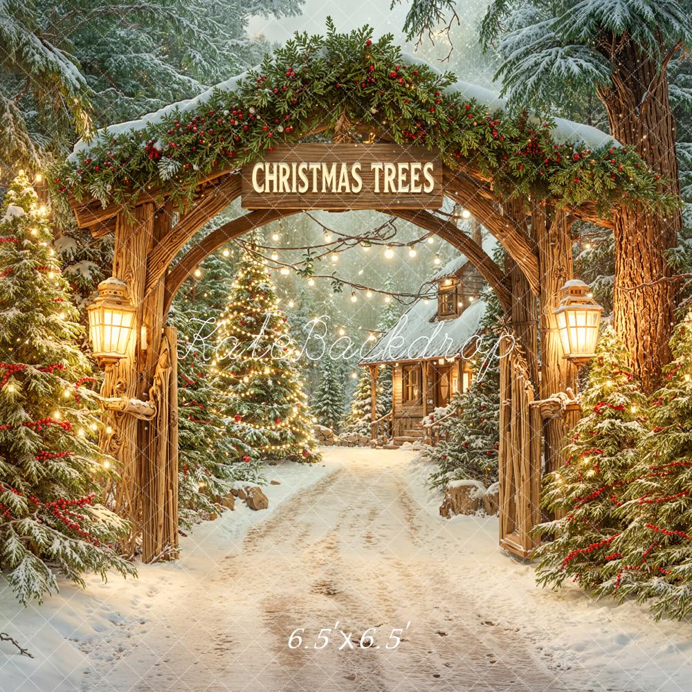 Kate Noël Arche Sapins Lumières Toile de fond conçue par Emetselch