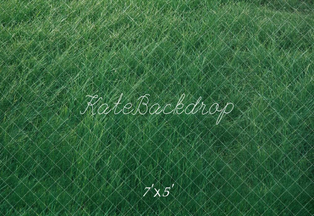Kate Herbe Prairie Vert Sol Toile de fond conçue par Kate Image - Kate Backdrop FR