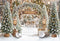 Kate Hiver Arbre Arche Patins Toile de fond en Laine conçue par Emetselch - Kate Backdrop FR