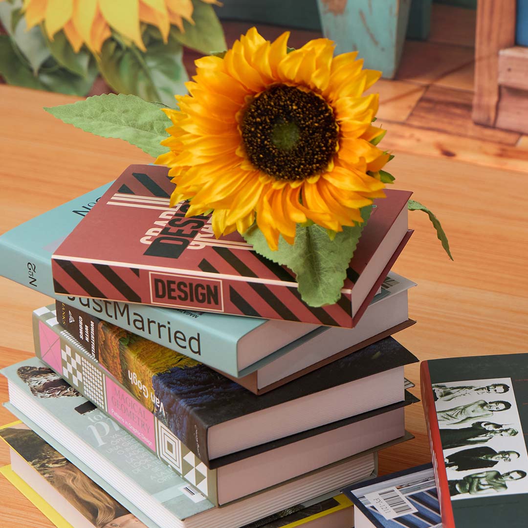 Kate Scolaire Tableau noir Livres Tournesol Kit Photo - Kate Backdrop FR