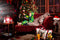 Kate Sapin de Noël Fenêtre Cheminée Ensemble de chambre (8pix8pi&10pix8pi&8pix10pi) - Kate Backdrop FR