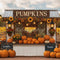 Kate Automne Citrouilles Tournesols Stand Toile de fond conçue par Emetselch - Kate Backdrop FR