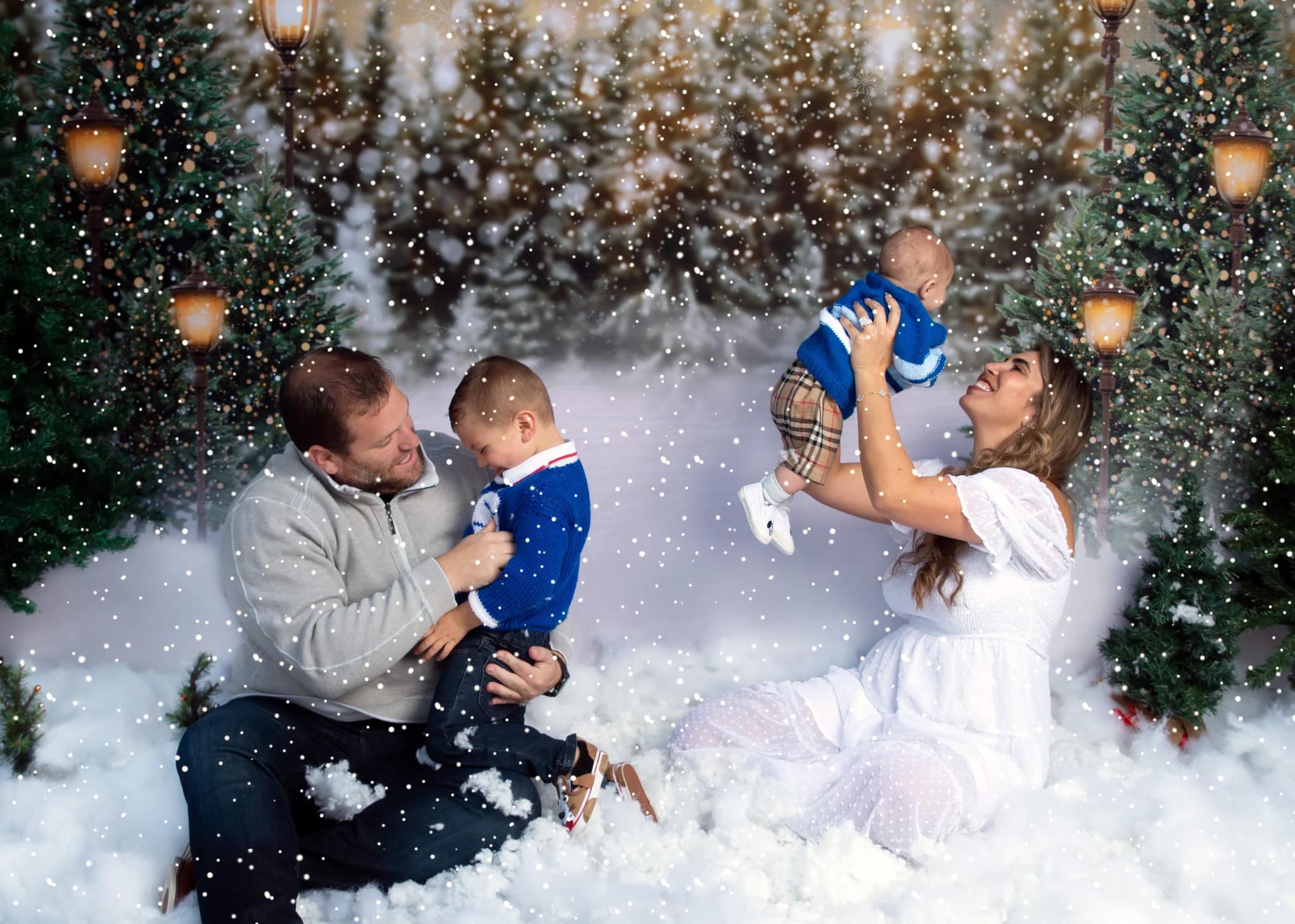 Kate Hiver Noël Neige Forêt Lumières Toile de fond en Laine pour la photographie - Kate Backdrop FR