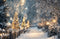 Kate Hiver Chemin Lumières Toile de fond en Laine conçue par Emetselch