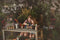 Kate Tropical Serre Intérieur Été Plantes Ensemble de chambre (8pix8pi&10pix8pi&8pix10pi) - Kate Backdrop FR