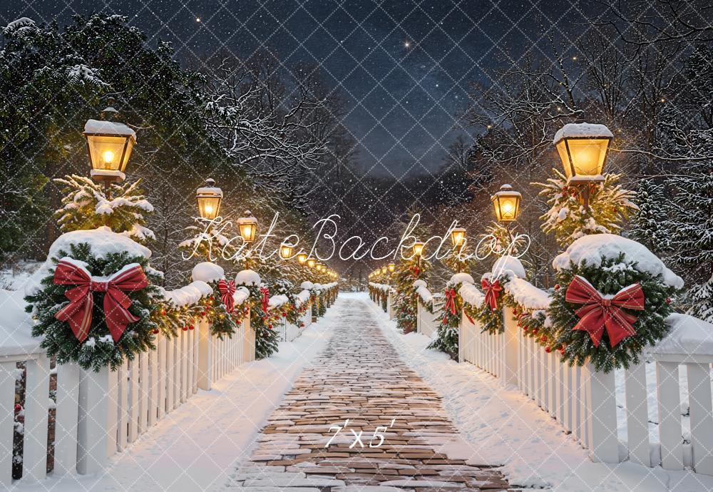 Kate Noël Hiver Chemin Lampadaire Neige Toile de fond conçue par Emetselch - Kate Backdrop FR