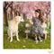 Kate Printemps Fleurs Rose Arbre Prairie Toile de fond pour la photographie - Kate Backdrop FR