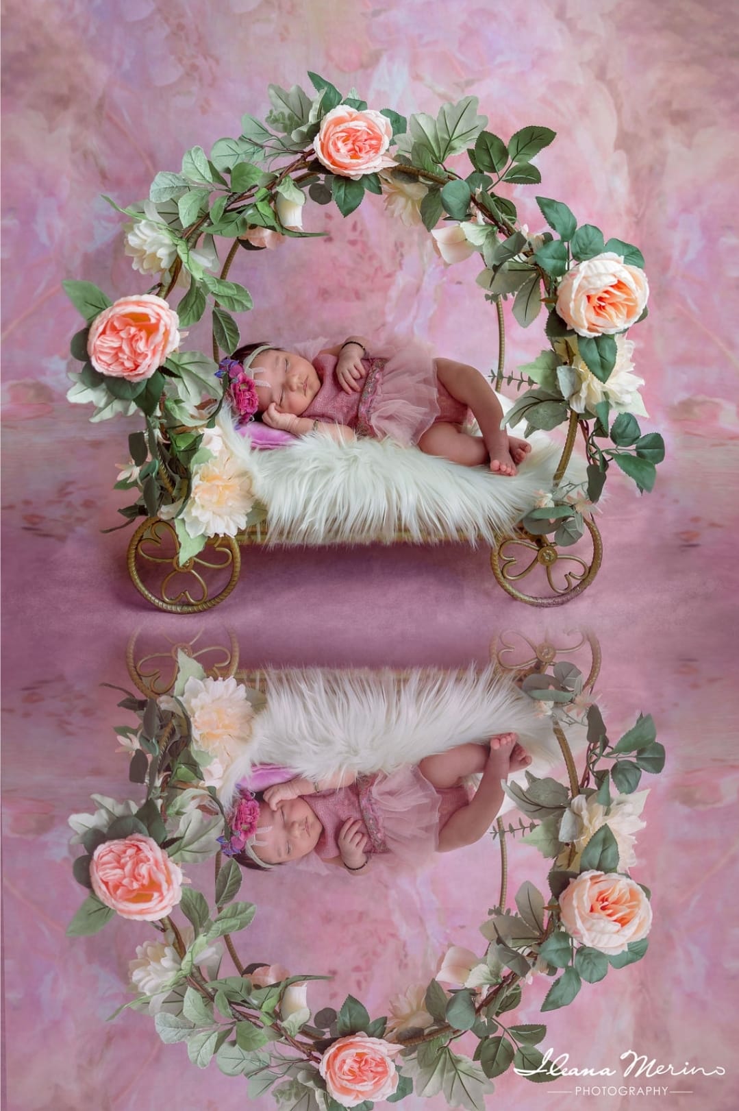 Kate Rose Fleurs Beaux-arts Fête des mères Toile de fond conçue par GQ