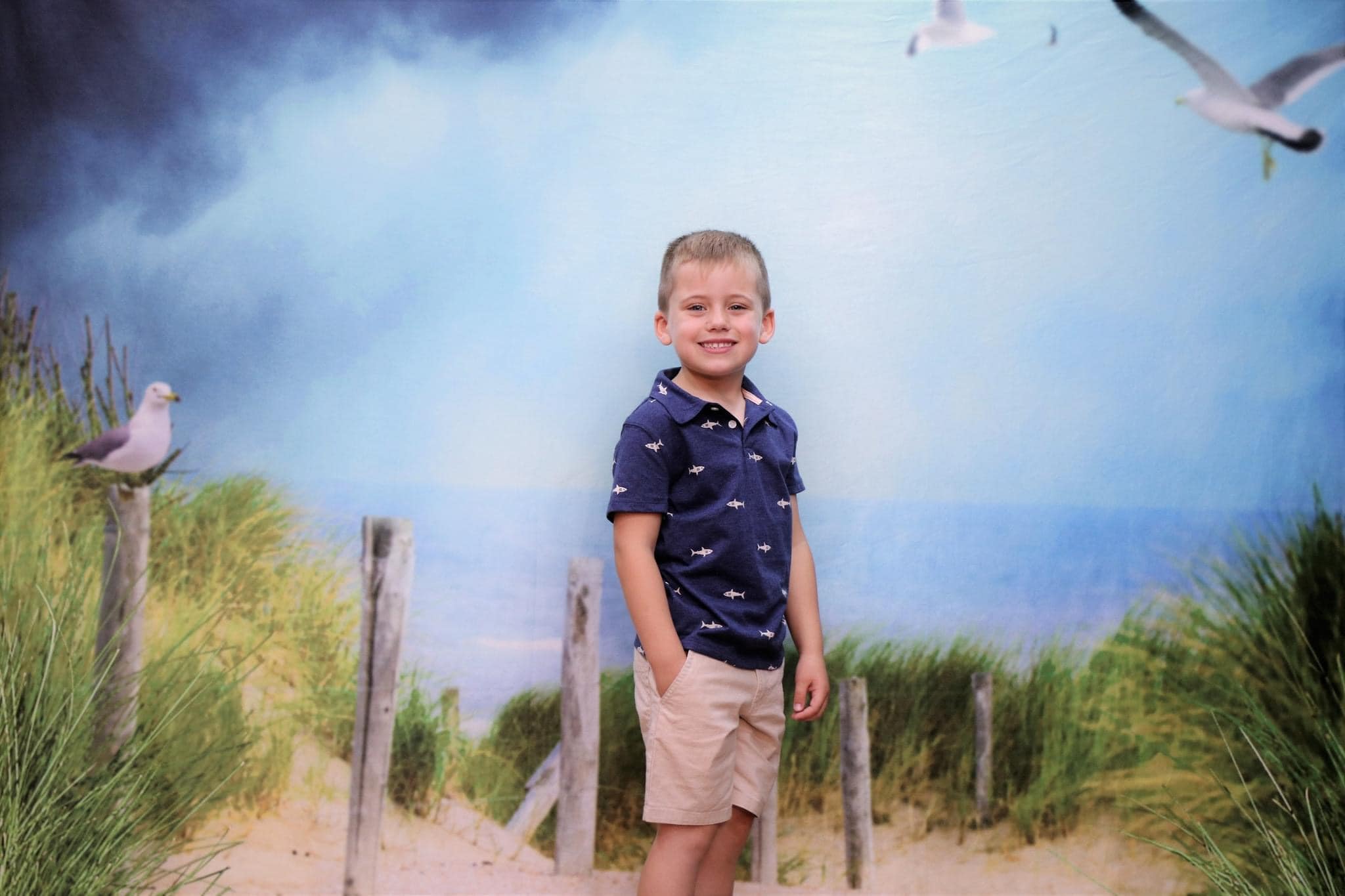 Kate Chemin Plage Pigeon Herbe Vert Toile de fond Conçu par Chrissie Green - Kate Backdrop FR